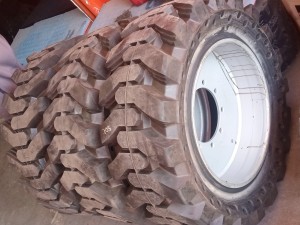 31x10-20 Dolgu Lastik Genie